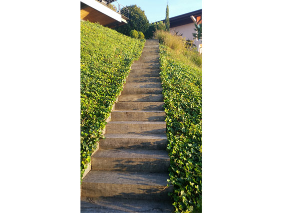 bank-steps