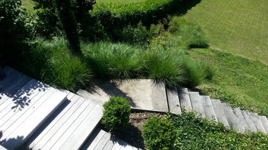 garden-design-ivy