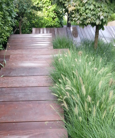 steps-grasses
