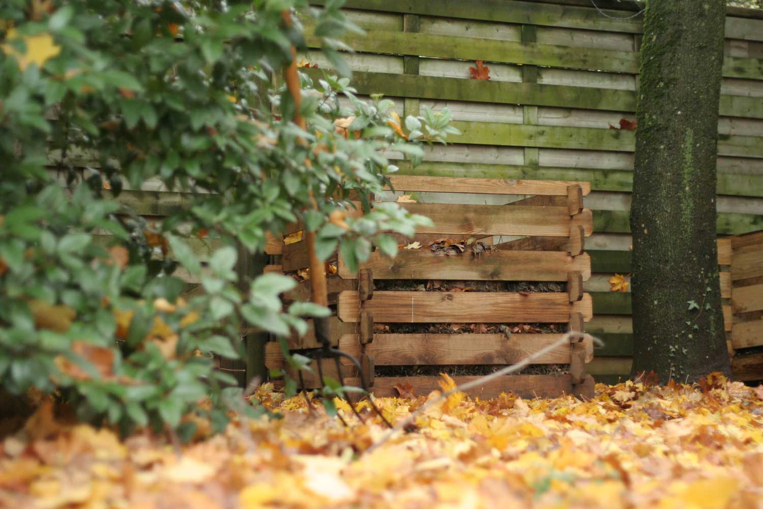compost-area
