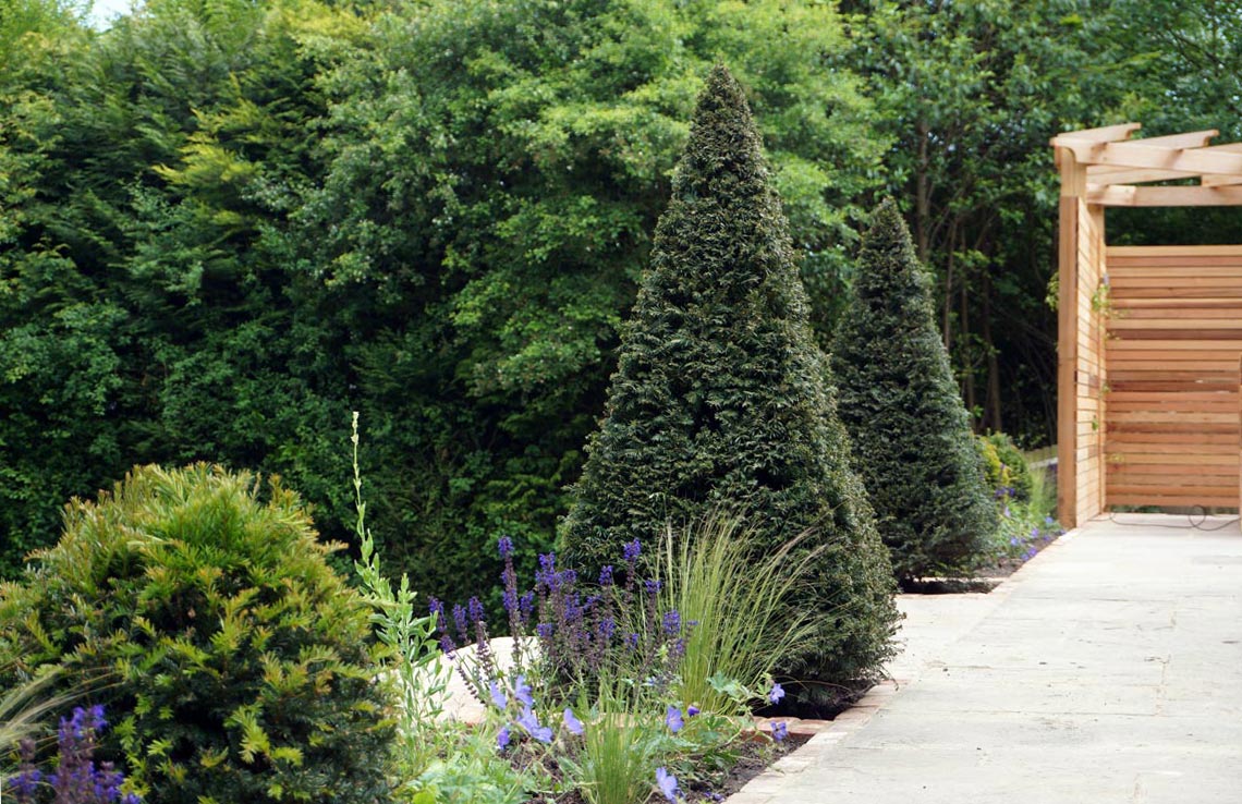 patio-topiary