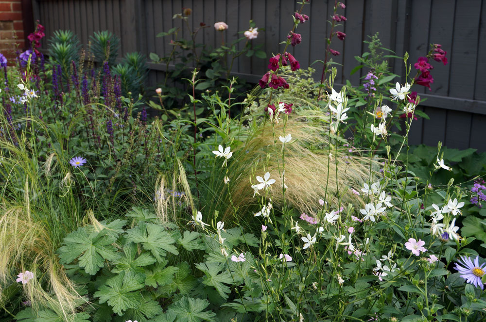 planting-combination-west-sussex