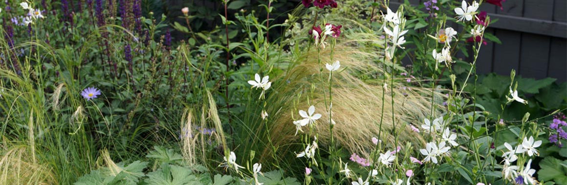 naturalistic-planting-combination